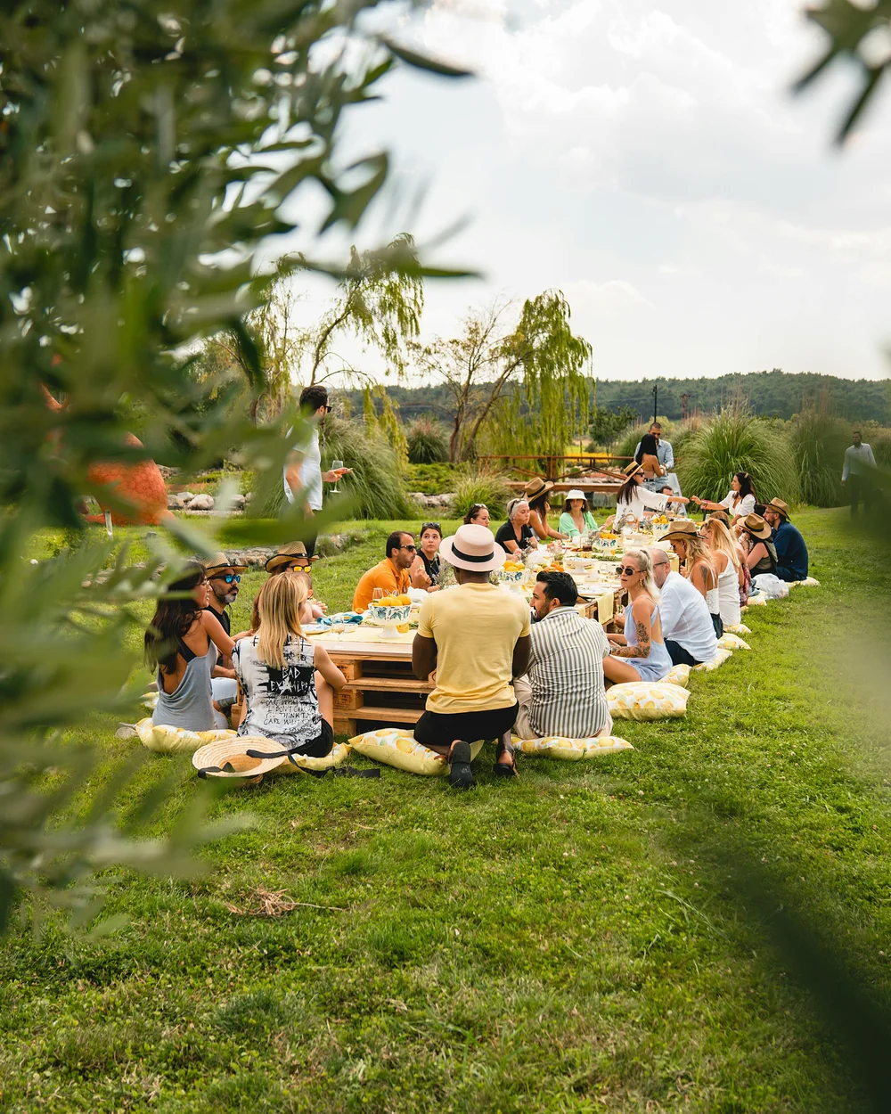 EFFORTLESS SIMPLICITY